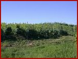 agriturismo cascina caldera asti