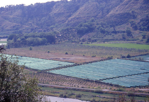 agriturismo i cedri azienda agricola la greca