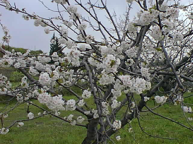 agriturismo montupoli abruzzo chieti