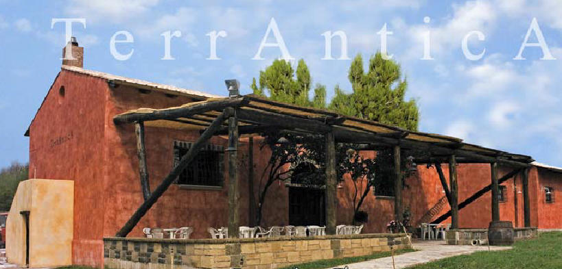 pizzeria braceria terrantica