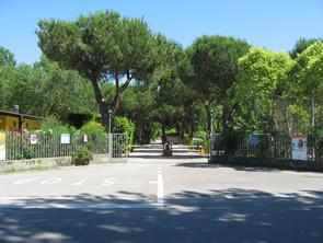 Campeggi e Camping Toscana: Camping dal Pino