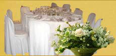 Catering Lazio: Doladino