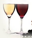 enoteca estya degustazioni 