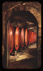 enoteca vini marciano 