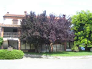 Ristoranti Emilia Romagna: Casa dell'Orso